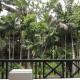 Renuka Inn, Kandy (Foto 6)