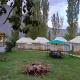 Paradise North Camp, Hundar - Fotografie 5