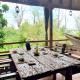Tilapia Lodge, Lulongo (foto 3)