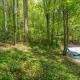 Renovated Barn in the Woods with Hot Tub, Waynesville (fotografie 8)