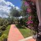 The Villa - San Teodoro, San Teodoro (Foto 8)