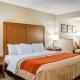 Comfort Inn, Idaho Falls (foto 8)