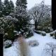 Colterscleuch House B&B, Hawick (fotografie 9)