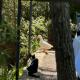 Autocamp LAKS, Blagaj (Foto 10)