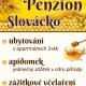 Penzion Slovácko 2, Ostrožská Nová Ves