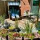SEGELund - Zeit für uns- ruhige und sonnige Ferienwohnung mit Terrasse und Garten nahe Strand und Ostsee, Schönhagen - Kuva 1
