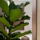 Central Bliss Apartments by UPSTREET, Athen - Foto 4