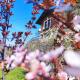 Weinberghaus - Wohnen im Weinberg in der Toskana des Nordens, フライブルク - 写真 1