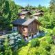 Chalet L'aïeul by Interhome, Nendaz (foto 3)