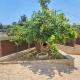 Villa Elizabeth, Limassol (foto 2)