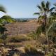 The Cozy Nest - Best Kept Secret in Todos Santos, Todos Santos (fotografie 7)