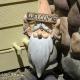 Gnome Home Packwood - Fotografie 4