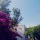 Cortijo Rural Violeta, Órgiva (fotografie 4)