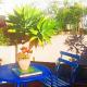 Cozy Home with Mountain View Terraces, Chefchaouene