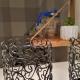 Apartament Granat, Zakopane - Photo 4