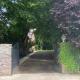 Maison Babylon, Goyencourt (foto 5)