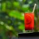 Sort By Stays, Grand Peddem, Anjuna, Goa - Foto 10