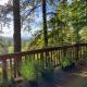 Forest Gallery- Mid-Century Modern With City Views, Eugene - Fotografie 3