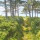 Seaside Serenity at SkAdshoved-By Traum, Knebel (photo 7)