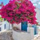 Sandy,s house, Lefkes (foto 9)