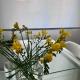 Simona's place! Apartment in Piazza Bologna, Rzym - Zdjęcie 7