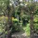 Rose Cottage, Ballycastle (foto 8)