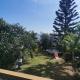 L'Araucaria, Saint-Paul - Photo 8