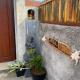 Ayodhya Guesthouse Uluwatu - Fotografie 10