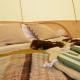 Tylda Tents at Tregonetha Lake - 5m Luxury Bell Tent "Moorhen" Saint Columb Major - Photo 4
