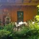 Waldbadhäusel Naturbad-Bungalow, Neuwiese - Foto 5