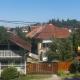 Green, Sovata - Zdjęcie 1