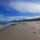 Alderlane cottage, Wexford (foto 9)
