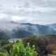 A comfortable room in Upper Hutt with views - Homestay - Fotografie 6