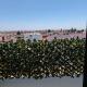 Fès appartement confort, Fez (zdjęcie 3)