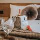 Jules & Laurent Hotel Contemporaneo, Ensenada (foto 4)
