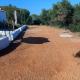 Finca Rústica Apartamento 3 dormitorios, Ayamonte (zdjęcie 5)