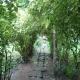 Ecolucerna Lodge Tambopata, Puerto Maldonado (Foto 2)