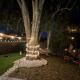 Stylish Urban Haven, Cozy, Central, Lutz (fotografie 5)