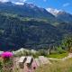 Mattertal Lodge, Embd (Foto 2)