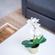 Le Cool Plex Duplex avec Jardin, Disney 10mn, Esbly (photo 8)