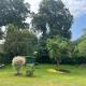 Einfamilienhaus mit Garten, ファルケンゼー - 写真 6