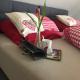 Dies und Fass, Ferienwohnung, Ipsheim - Photo 1