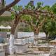 Aelia, Agios Petros (foto 9)