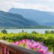 Weinhof am See, Caldaro (fotografie 4)