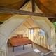 Zest Campers Ltd, Golden (foto 5)