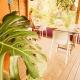1- VACOA - CHAMBRE 1 - Rdc G, La Saline-Les-Bains - Foto 5