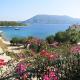 Vassili's Apartment, Kefalonia, Fiskardo - Fotografie 4