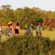 Rhino Walking Safaris, Skukuza - Fotografie 3