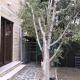 Villa IMPERIAL, Paphos (photo 3)