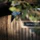 Driftwood - Luxury Spa Cottage for Two Cowes - Fotografie 7